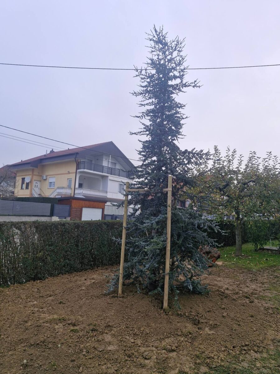 Brcokvljani
