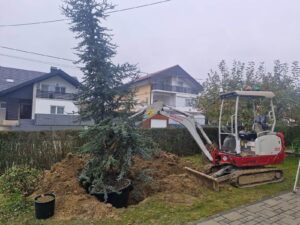 Brckovljani